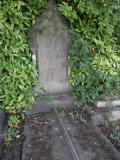 image of grave number 796169